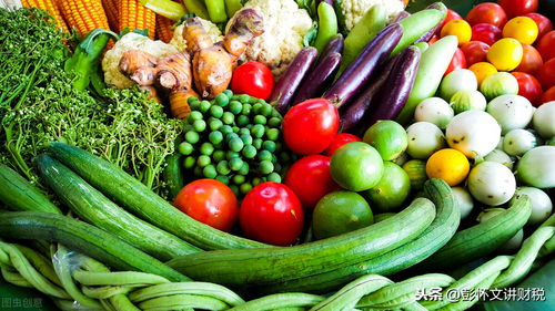 農產品和農業初級產品增值稅優惠梳理,建議收藏