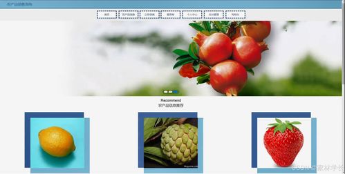 java計算機畢業設計農產品銷售系統 開題報告 源碼 論文