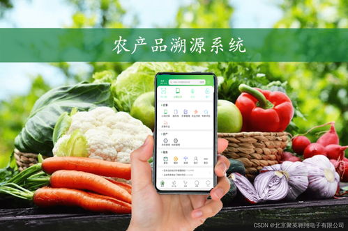 農產品溯源系統是什么