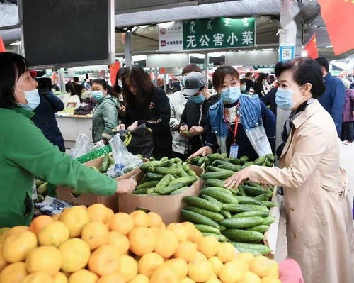 王莉霞在調研我市節日市場時強調 要牢固樹立以人民為中心的發展思想 全力保障群眾買得放心吃得安心