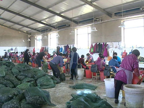 放心水產苗種放心養