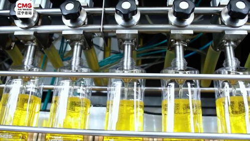 錦州小花生成就致富大產業(yè) 禽蛋經濟的繁榮之路