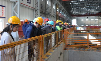 本會成功舉辦上海市建設工程2017年度綠色施工主題觀摩會